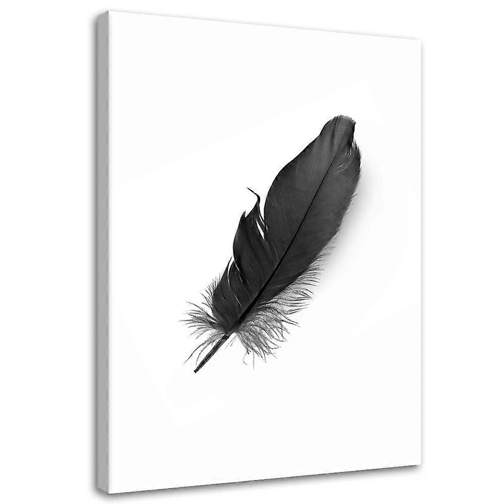 Impression sur toile, Plume noire - 60x90
