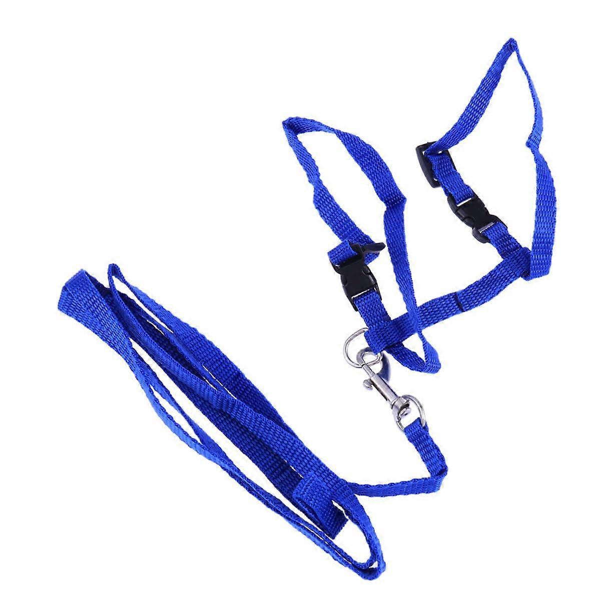 Adjustable Nylon Cat Harness with Leash for Pet Accessories, Durable and Safe for Outings with Your Kitten
