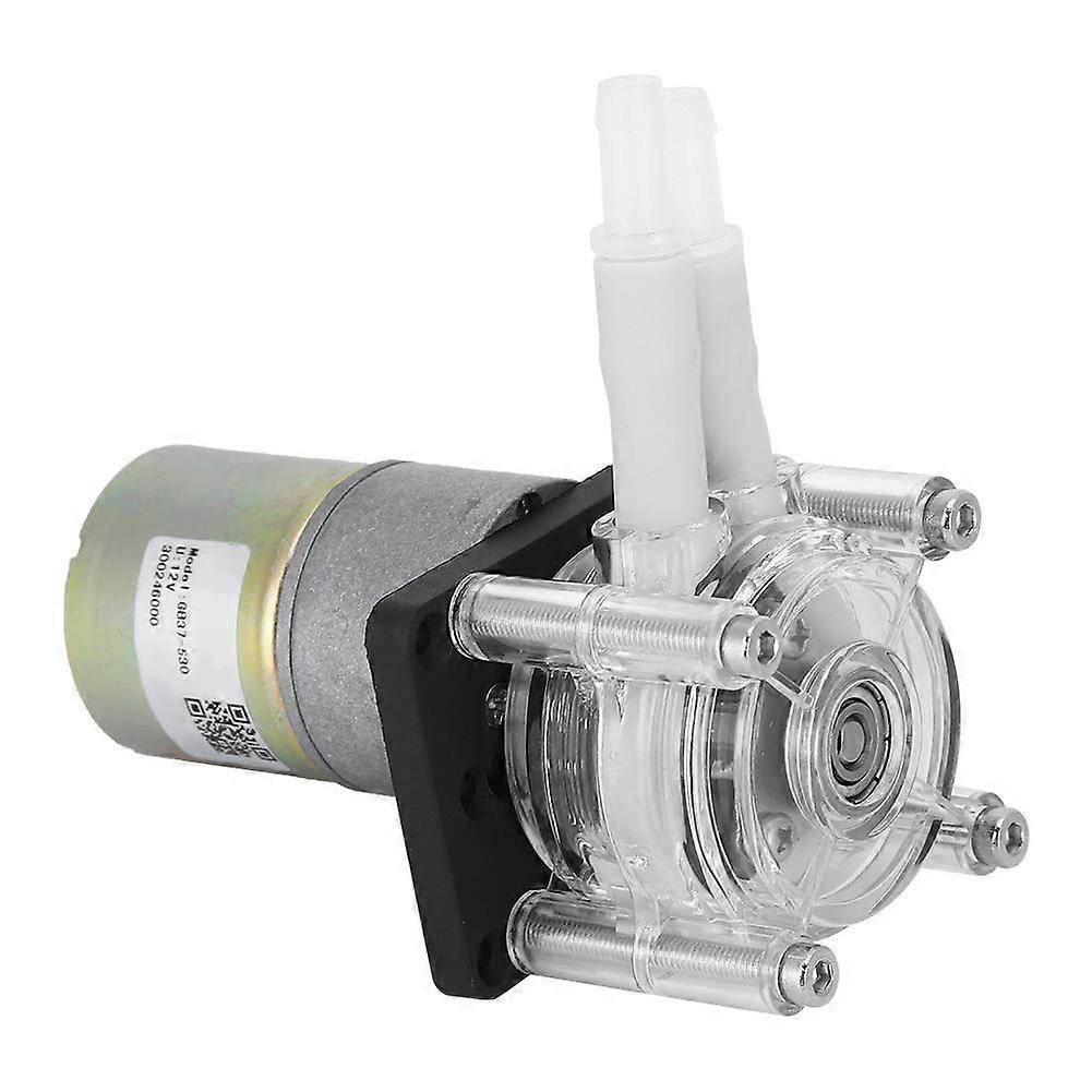 Peristaltic Pump with Stainless Steel Frame and DC Motor, Transparent Head for Washer, Ice Cream and Beverage Machines (12V)