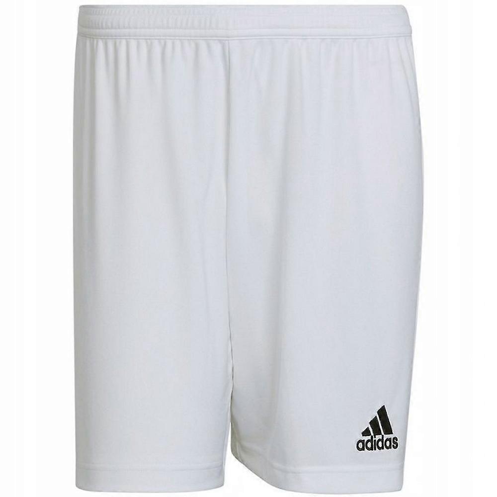 adidas Enrada 22 Shorts Barn