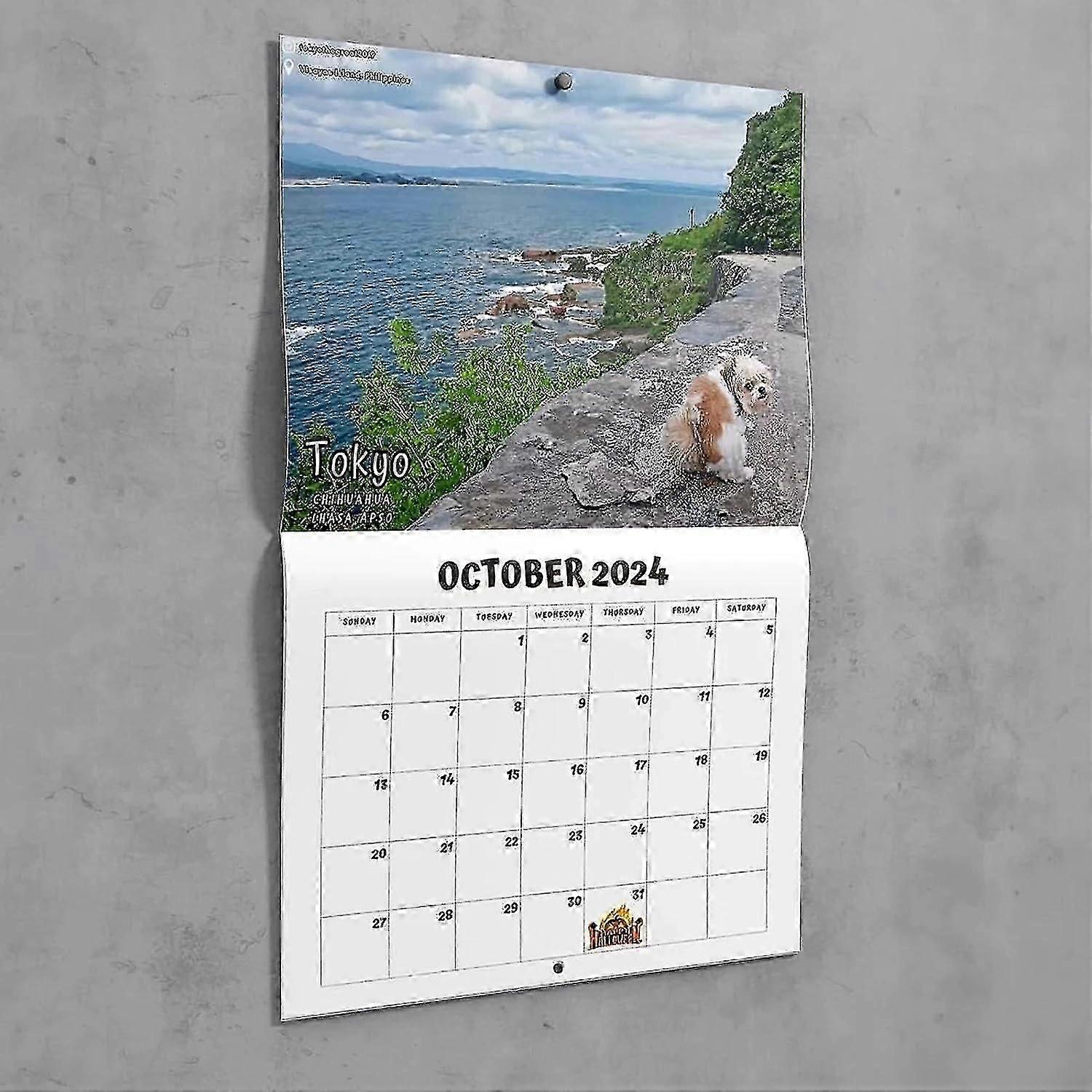 2024 Calendar, Dogs Pooping In Places Calendar, Dog Pooping Calendar, Art Gag Humor Prank