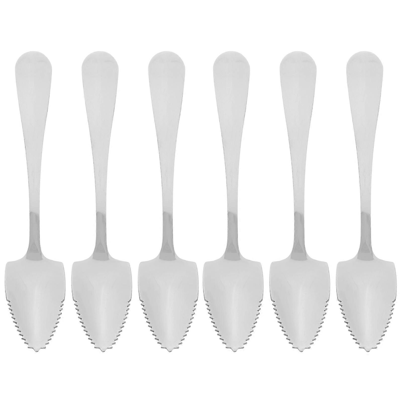 Stainless Steel Spoon with Serrated Edge for Fruit Serving 6Pcs