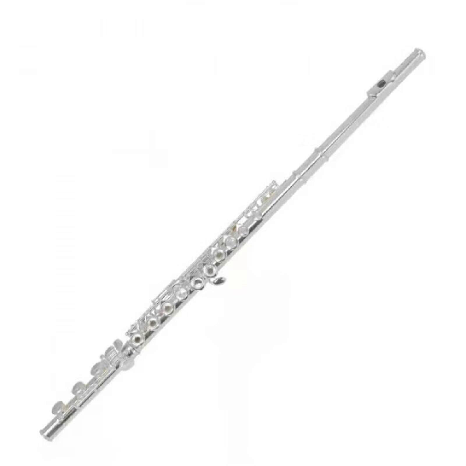 AULYTE Silver Plated Flute C Key Closed Hole Beginner Flute with Precision Tone Control and Quick Response