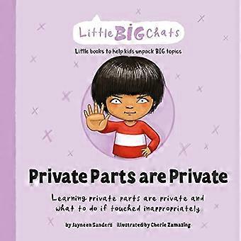 Private Teile sind privat: Das Lernen von privaten Teilen ist privat und was zu tun ist, wenn sie unangemessen berührt werden (Little Big Chats)