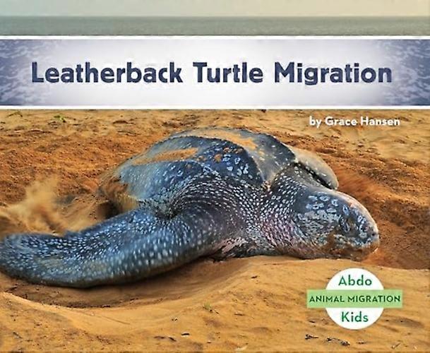 Leatherback Turtle Migration (Animal Migration)
