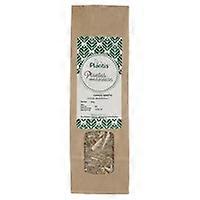 Holy Thistle 40 g