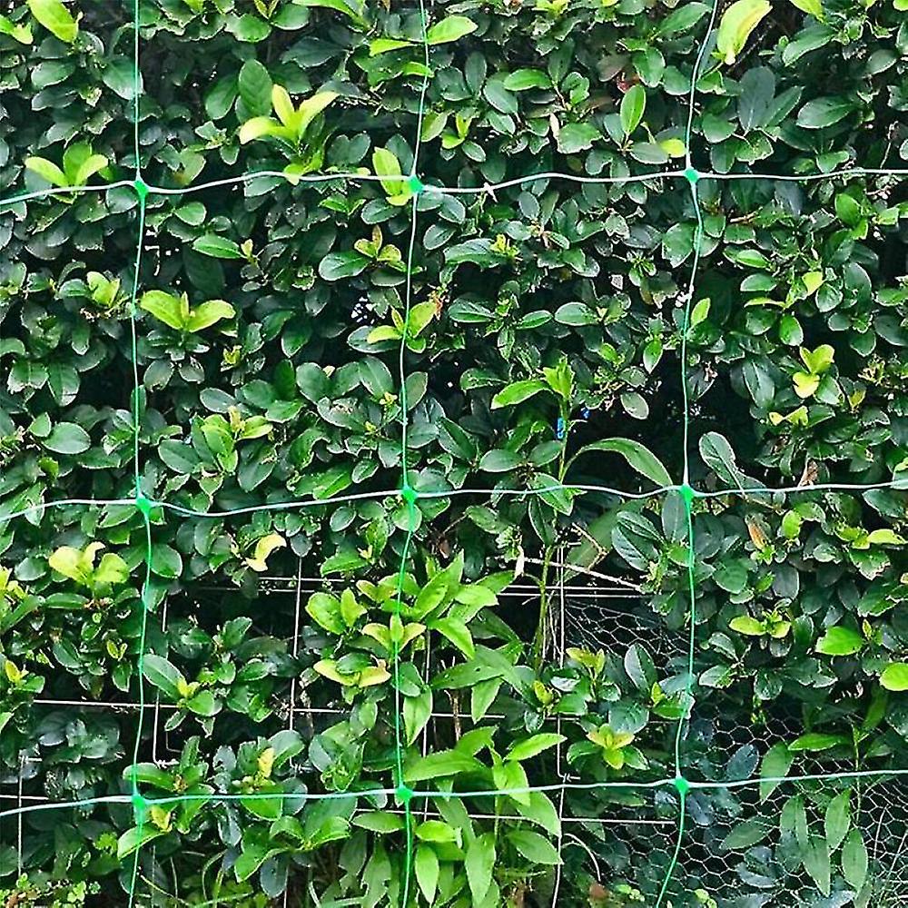 Climbing Plants For Green Plastic Trellis Netting Commercial Grade Trellis Netting Breeding Net-2m