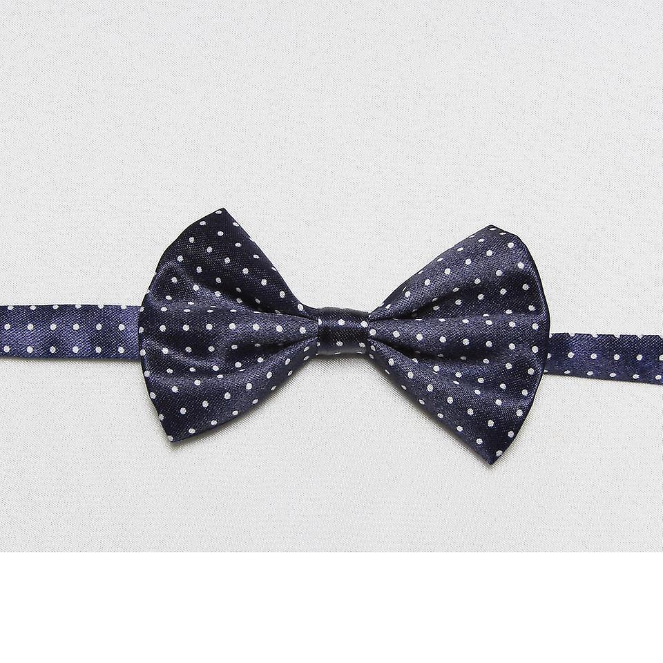 Rainbow pojkar flugor barn randig fjäril barns slips Chldren fluga #12810