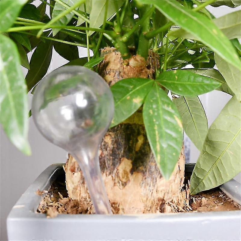 Globos de rega do jardim - 6pcs Bulbo automático da planta auto rega (transparente&verde)