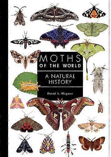 Moths Of The World by David L. Wagner Hardback Book