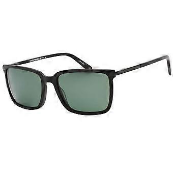 Banana Republic Green PZ Lensed Matte Black Sunglasses