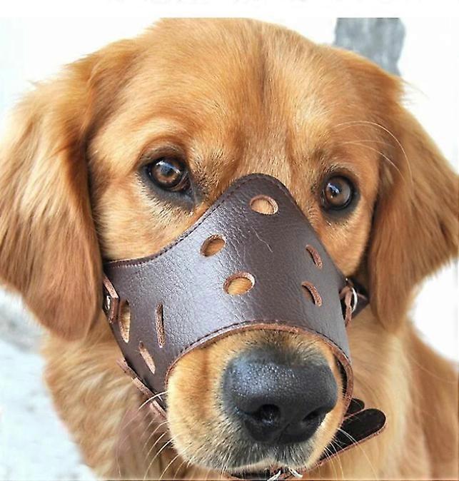 Leather Dog Muzzle Anti Barking for Large Small Medium Dogs L