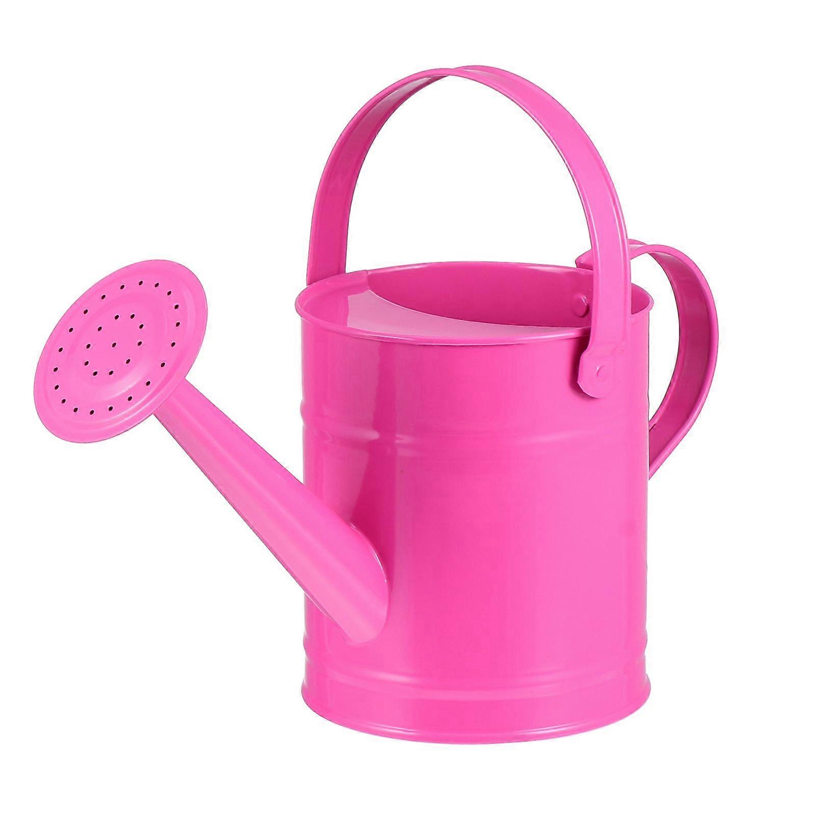 Gardening Kettle Iron Watering Pot for Kids 30.00X13.50X17.00cm Rosy Watering 1Pcs