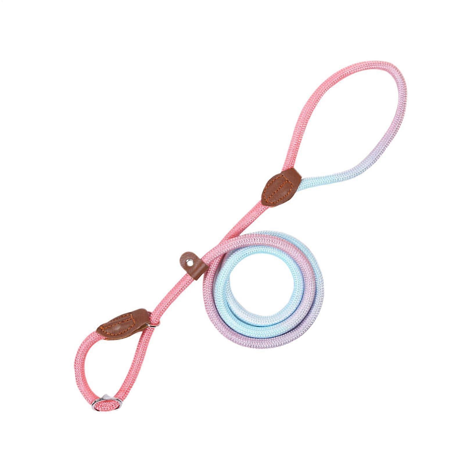 Dog Leash | Nylon Rope for Pets | Durable Grip for Small Medium Large Dogs | Purple Size M