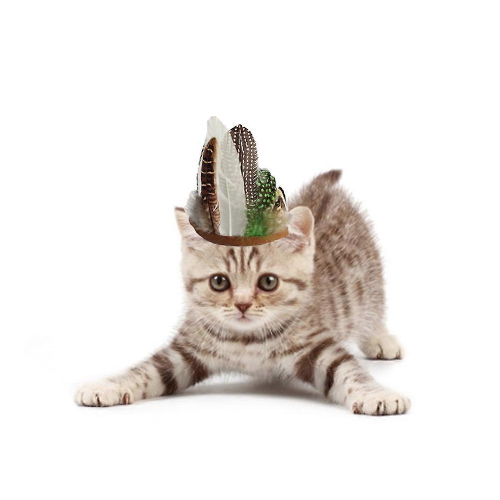 Primitive Pet Hat Headgear for Pet Wearing