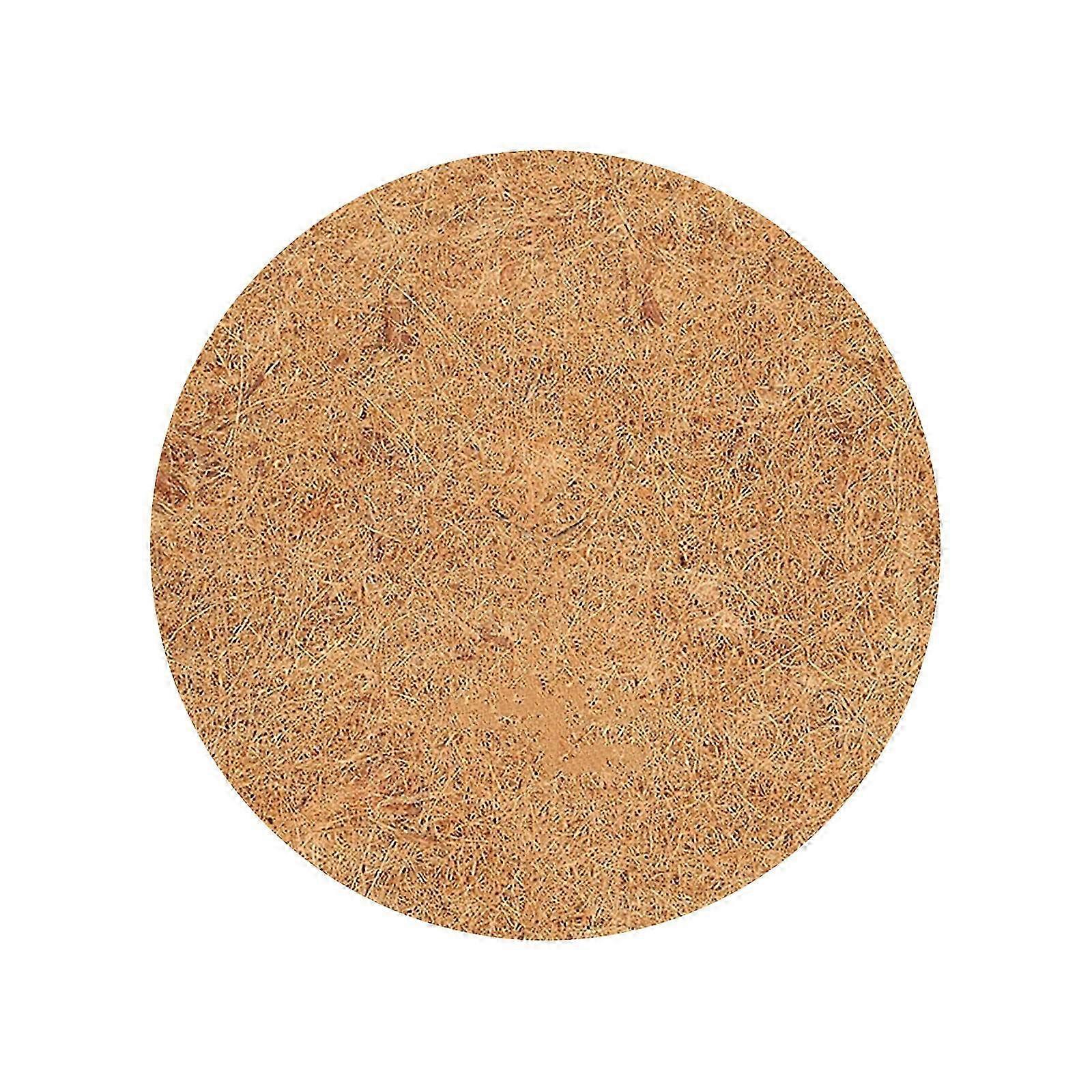 25-26 Home Essentials Coconuts Silk Flat Mat Flower Pot Mat Floor Mat