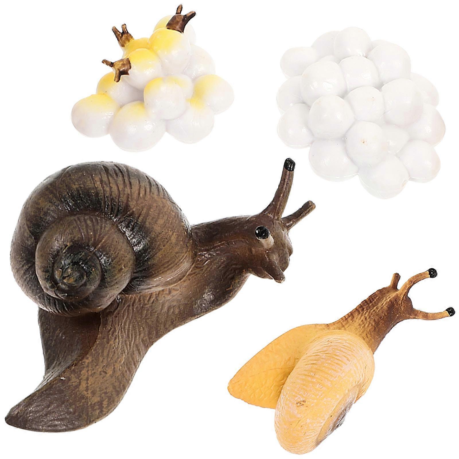 Kid Educational Snail Model for Biological Cognition 1Set Simulation Toy