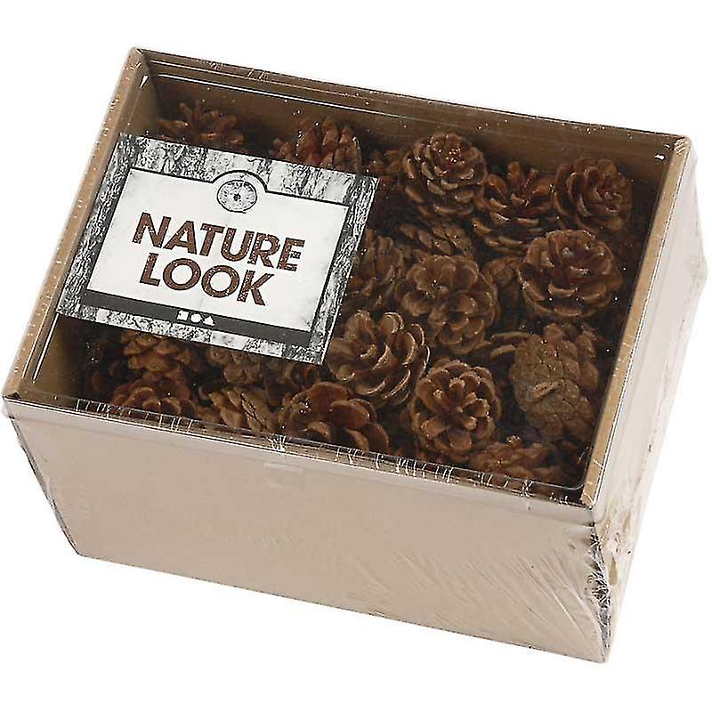 Box Real Pine Or Fir Cônes Pour l’artisanat de Noël - 80 Cônes @bugu