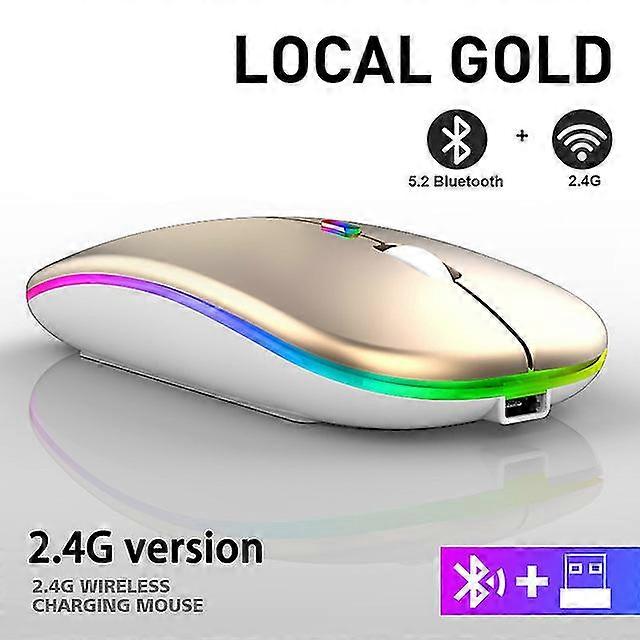 Souris sans fil Bluetooth rechargeable par USB, 2,4 GHz, 1 600 dpi, RGB