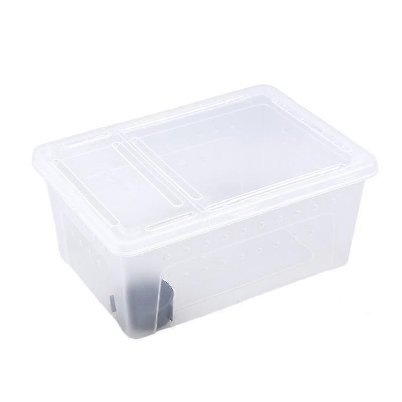 reptiles and amphibians breeding box plastic storage case feeding hatching container for spider scorpion gecko insect snake tortoise (white)