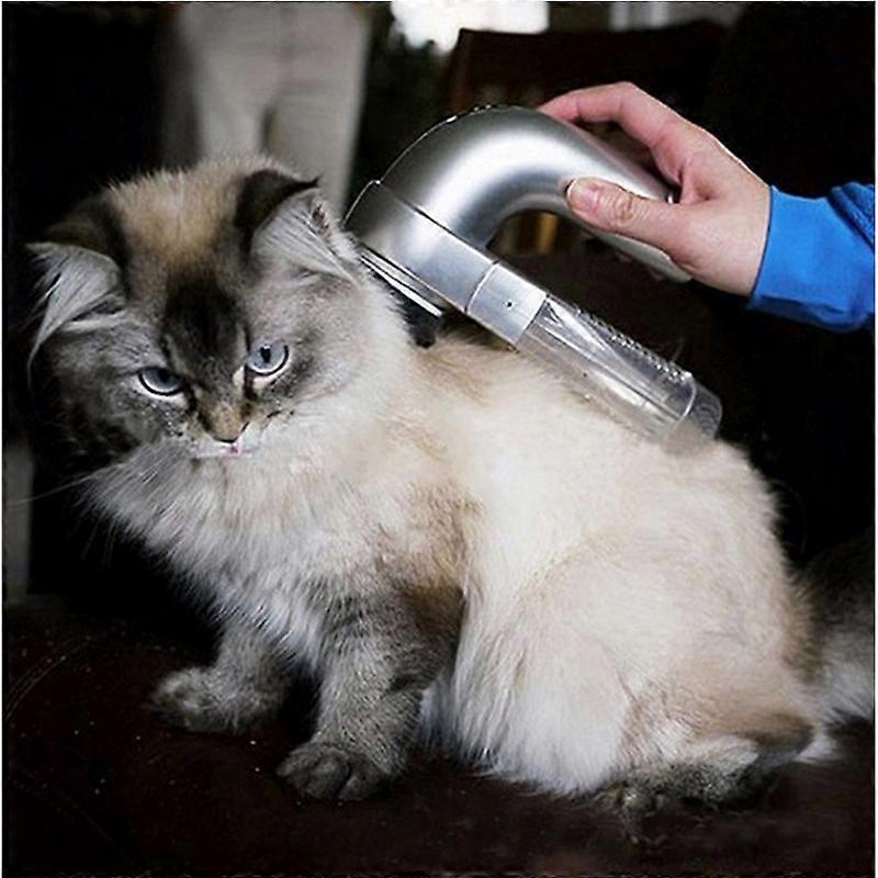 Portable Electric Pet Hair Suction Device