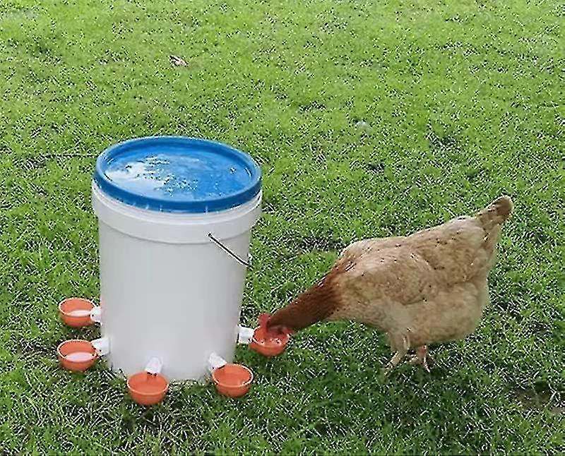 5 Pcs, Drinker Hens, Automatic Drinker Hen Kit, Automatic Chicken Drinkers, Suitable For Birds, Poultry, Pigeons, Chickens, Duck Banmo