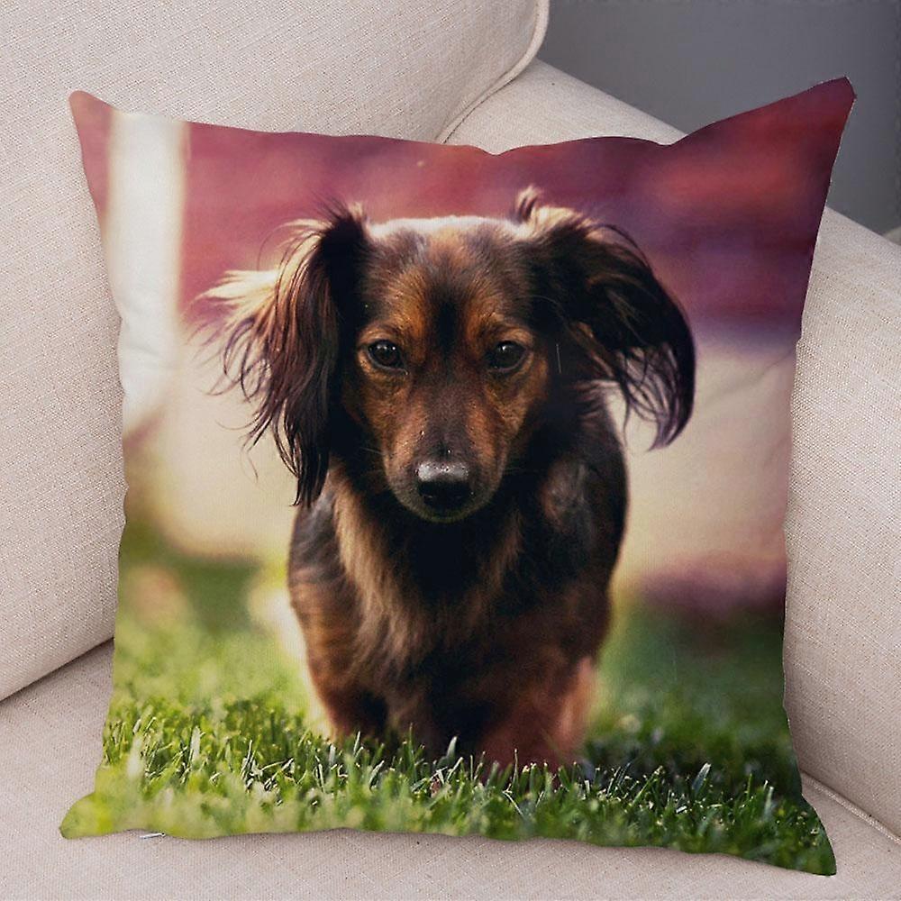 Tryck örngott Soffa Kuddfodral Designstil -506