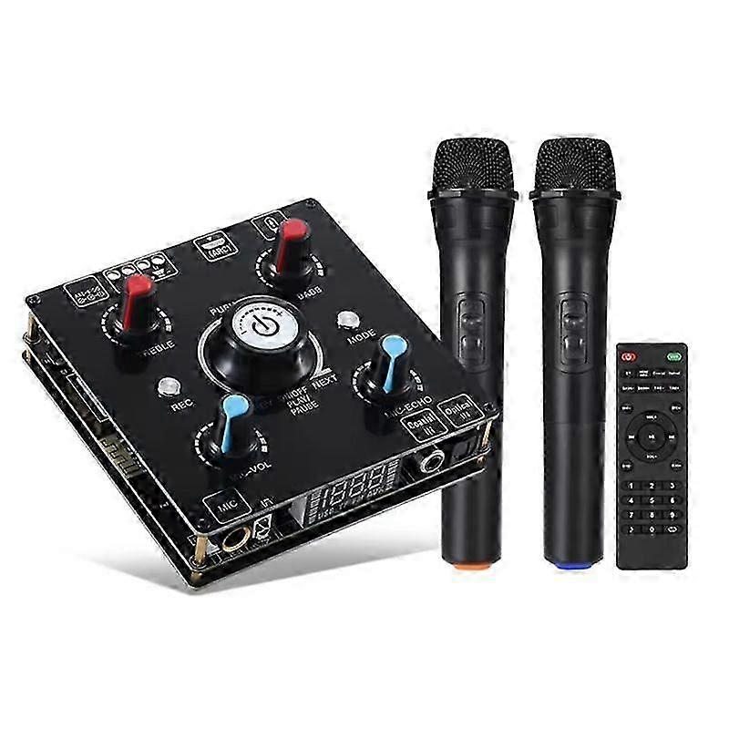 ميكروفون مزدوج ، آلة كاريوكي ، بلوتوث 5.0 ، مضخم صوت ، مضخم صوت مدمج ، مشغل U ، مضخم صوت منزلي