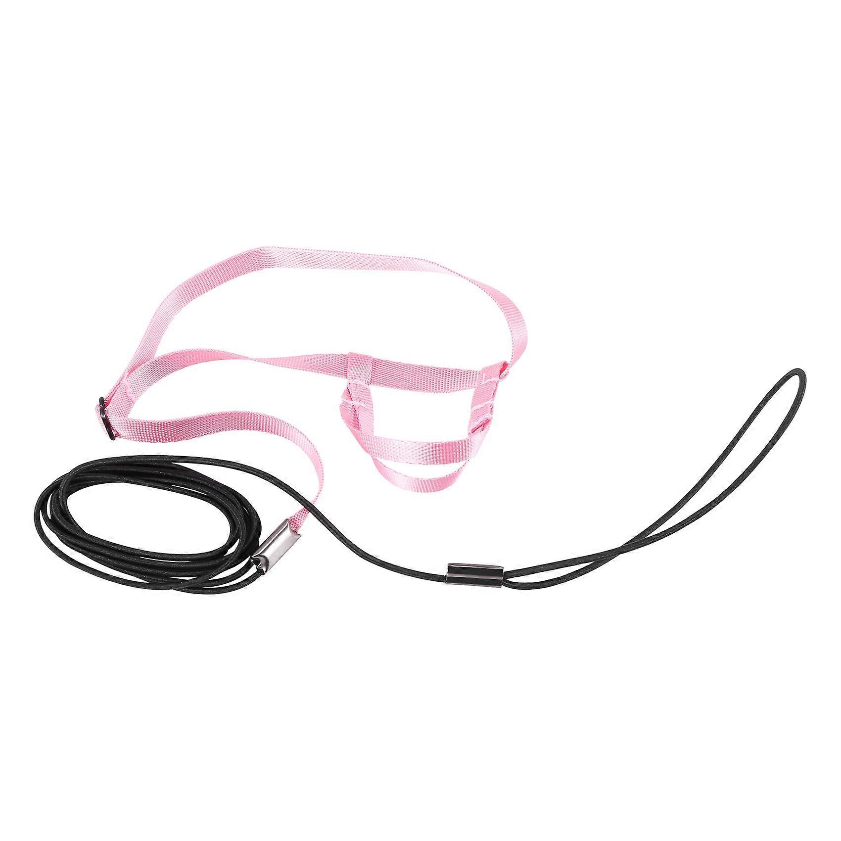 Pet Bird Harness and Leash, Adjustable Parrot Bird Harness Leash(P)