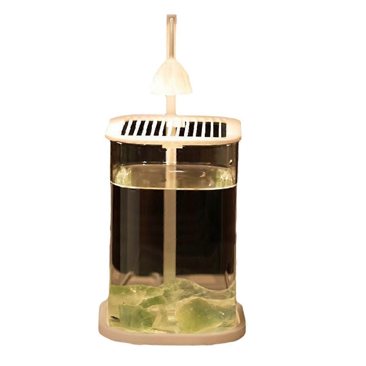 Mini Desktop Glass Aquarium Fish Tank with with Colored Crystal LED Light Desktop Ornaments High-End Ornamental Lamp A