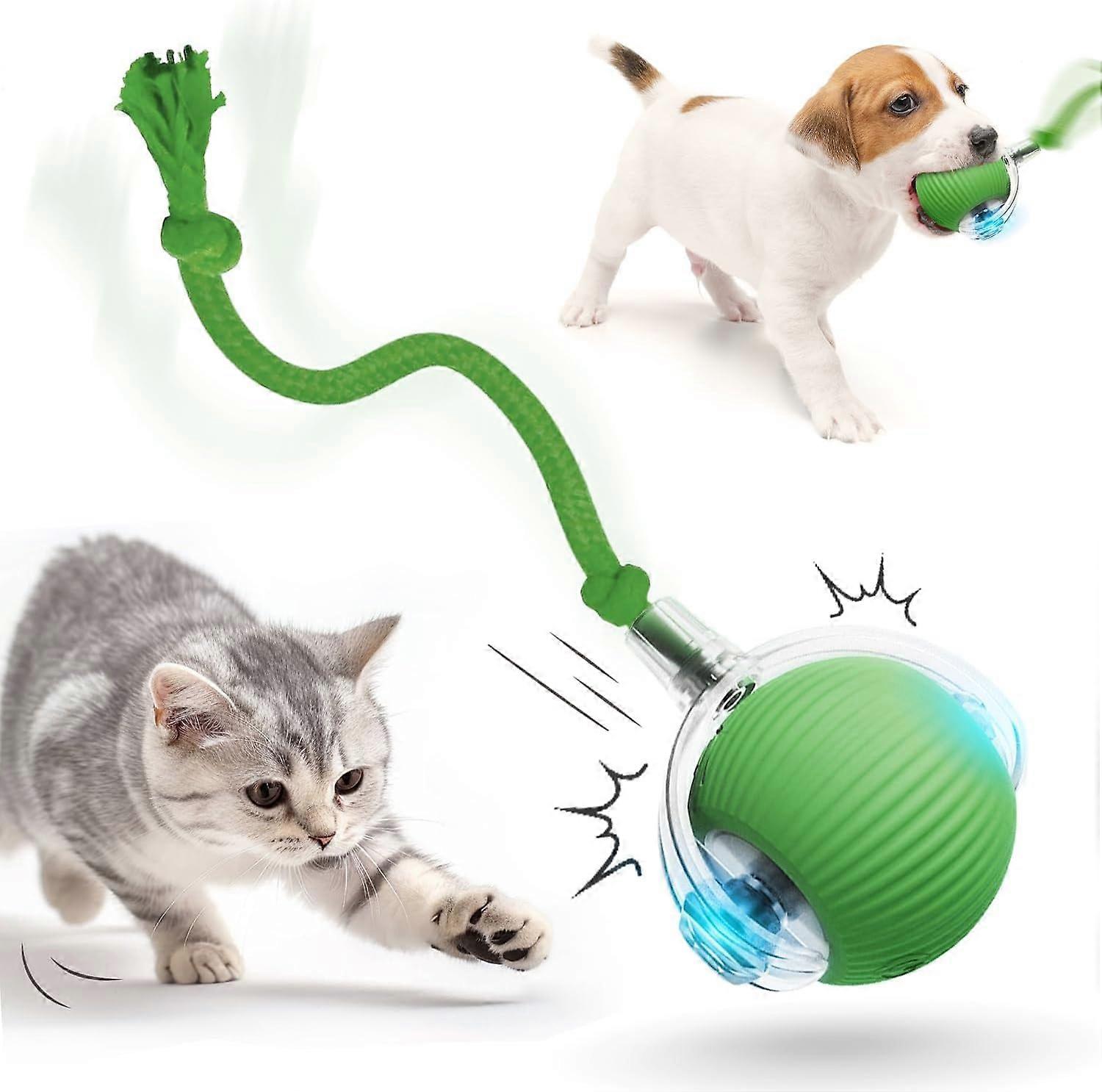Interactive Cat/Dog Ball Toy Electric USB Rechargeable 360 Degree Smart Automatic Rolling Pet Ball Green