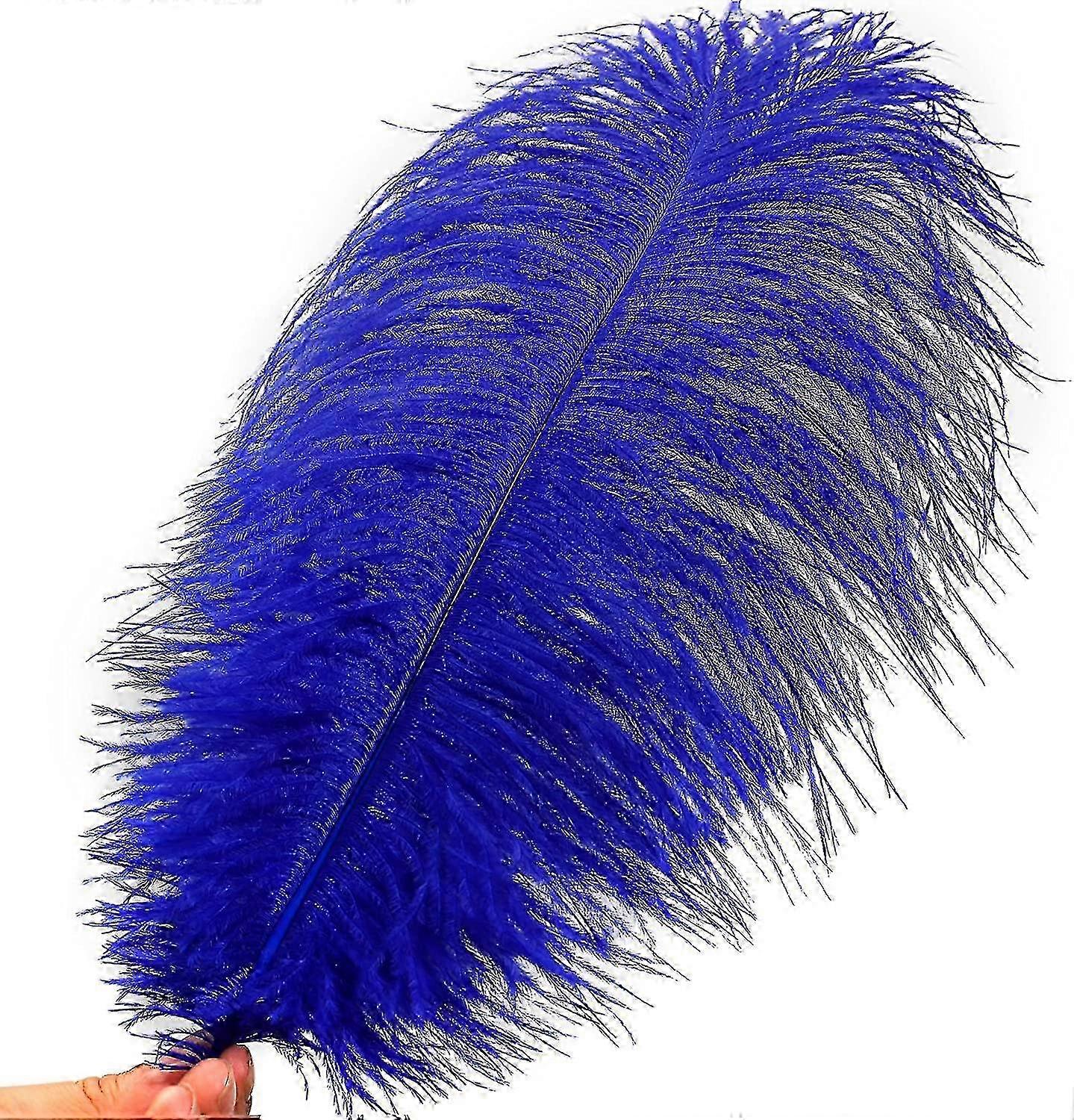 50pcs Ostrich Feathers For Decorations