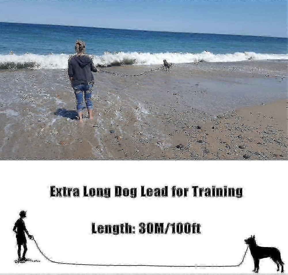 30m hundetreningssnor lang line for store hunder, utendørs lydighetstilbakekalling og valpelufting