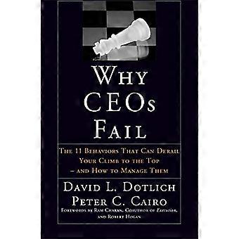 Why CEOs Fail: The 11 Behaviors That Can Derail Your Climb to the Top  And How to Manage Them: The 11 Behaviors That Can Derail Your Climb to the Top 