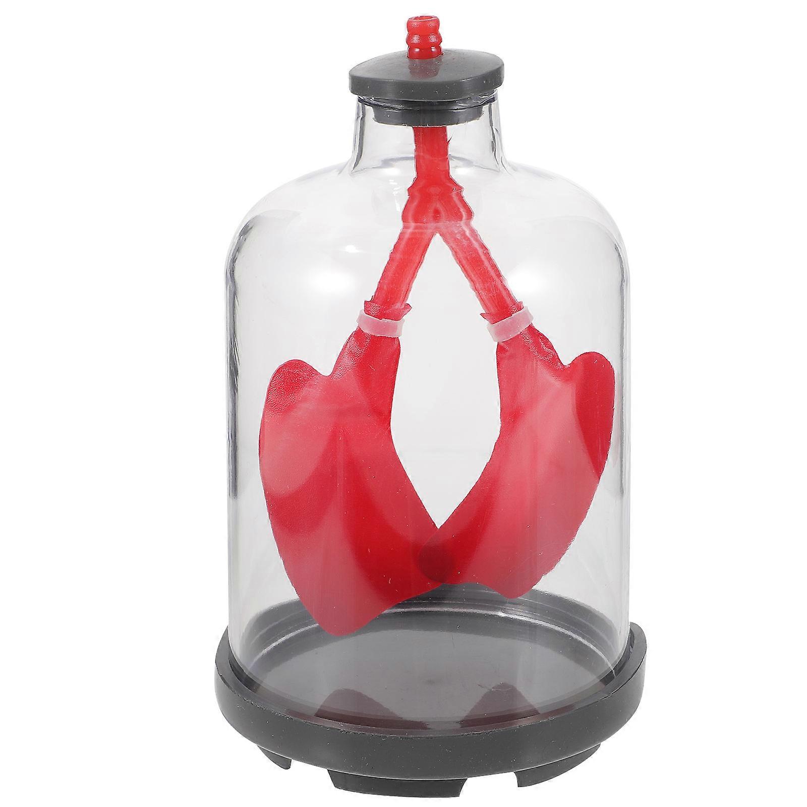 Lung Function Demonstration Model Educational Lung Breathing Model Physiological Teaching Aid