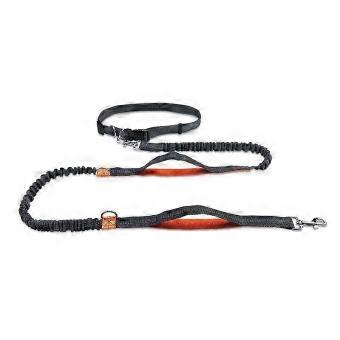 Nylon Reflective Hands-Free Dog Lead