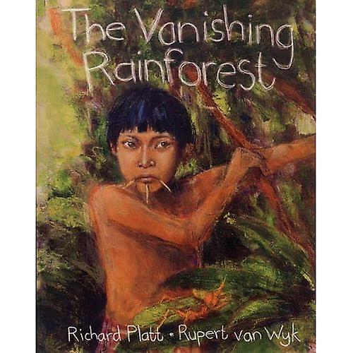 Forsvinningspunkt regnskogen