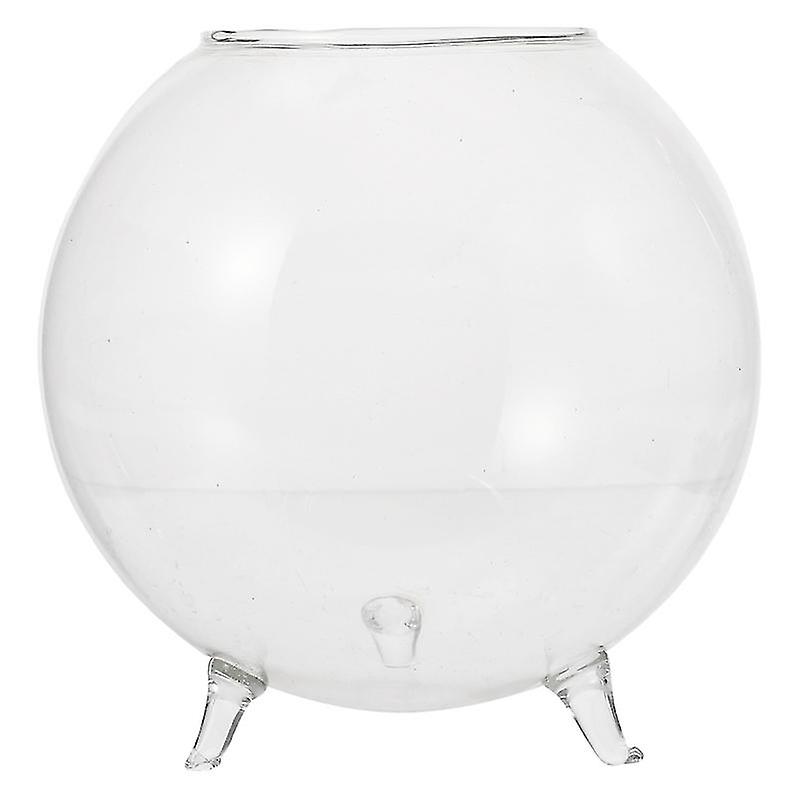 The New 1pcs Hydroponic Vase
