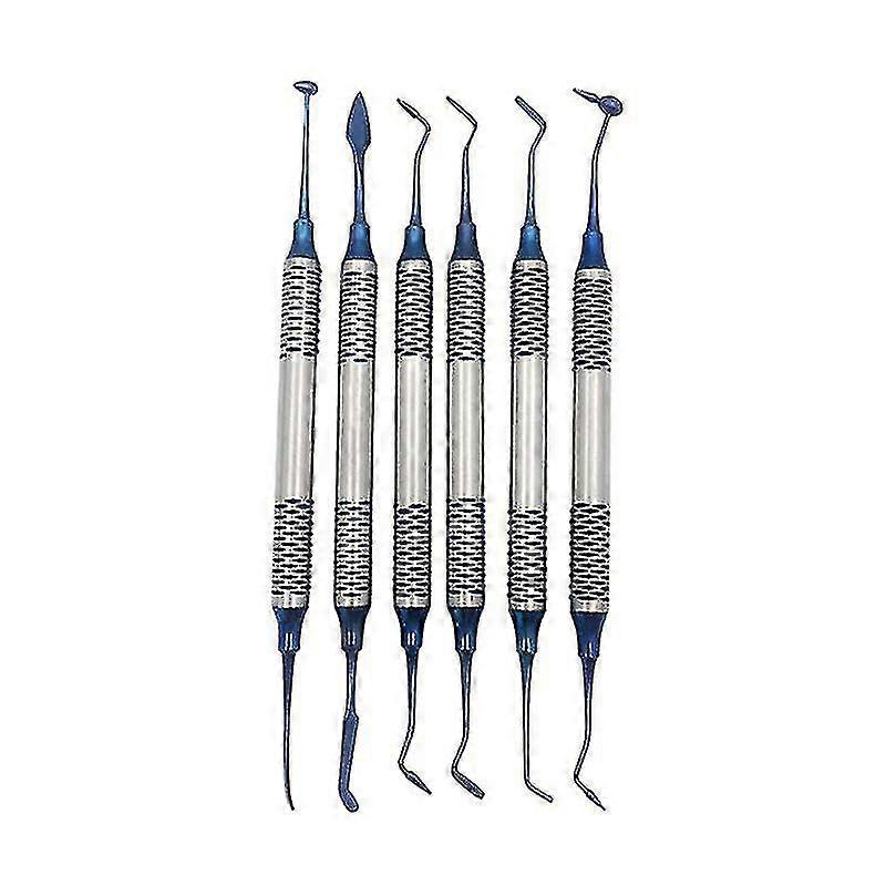 6pc Dental Composite Resin Filling Spatula Titanium Plated Head Resin Filler Set Shytmv(color:blue)