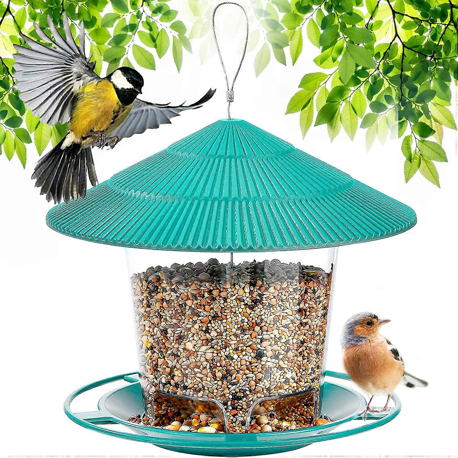Bird Feeder Wild Bird Feeder Hanging Wild Bird Feeder Bird Feeder for Wild Birds, Blue by Dunnocks Sparrows, Rob, Small Wild Birds