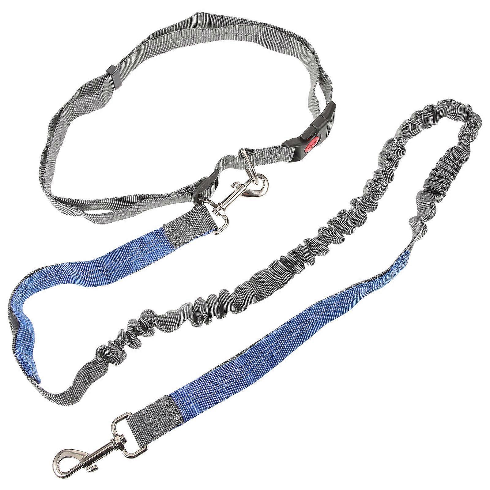 Durable Multi Functional Bungee Waist Leash for Dogs – Ideal for Jogging, Hiking, and Walking Activities