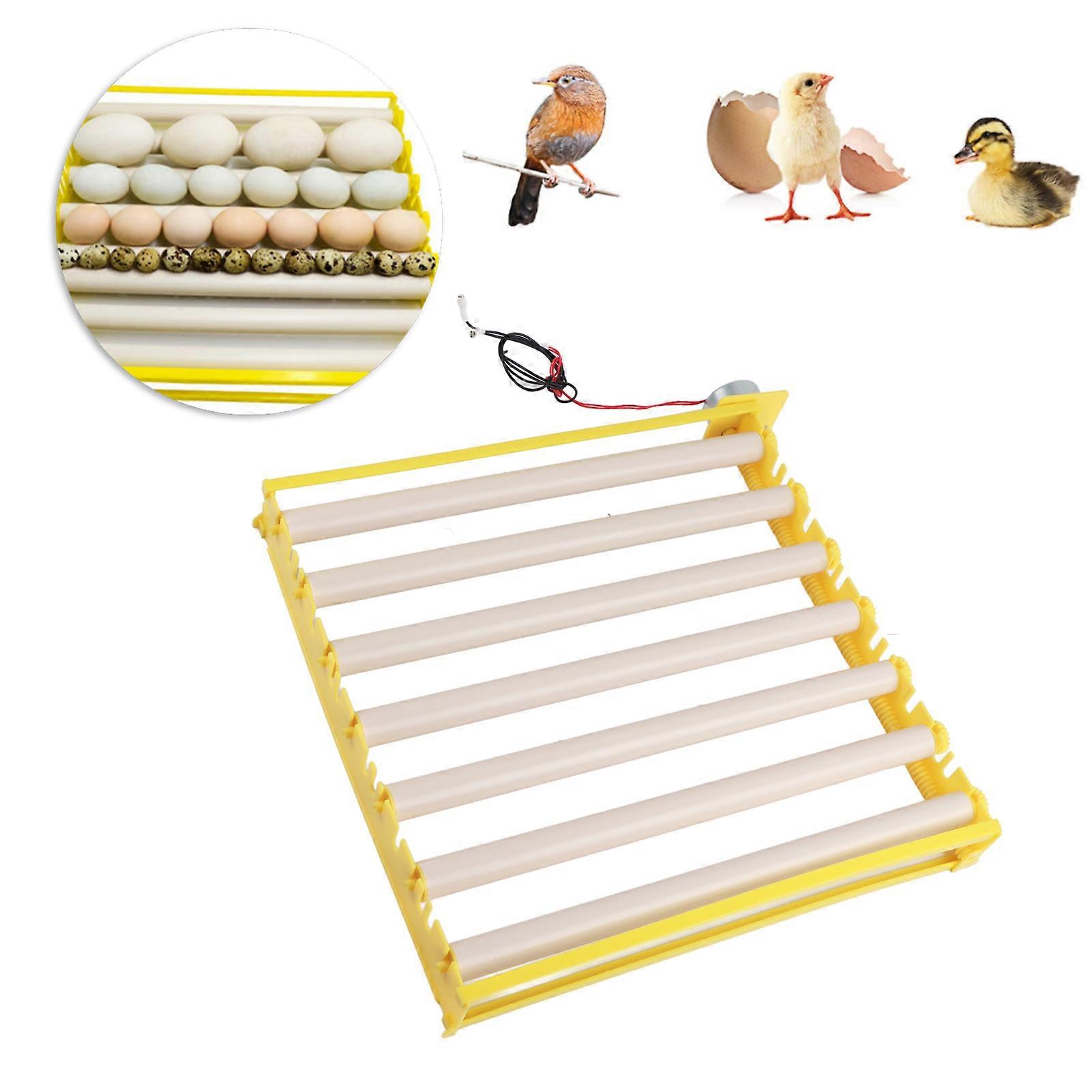Fully Automatic 42 Egg Incubation Tray 43x42.5x5.5cm 220V