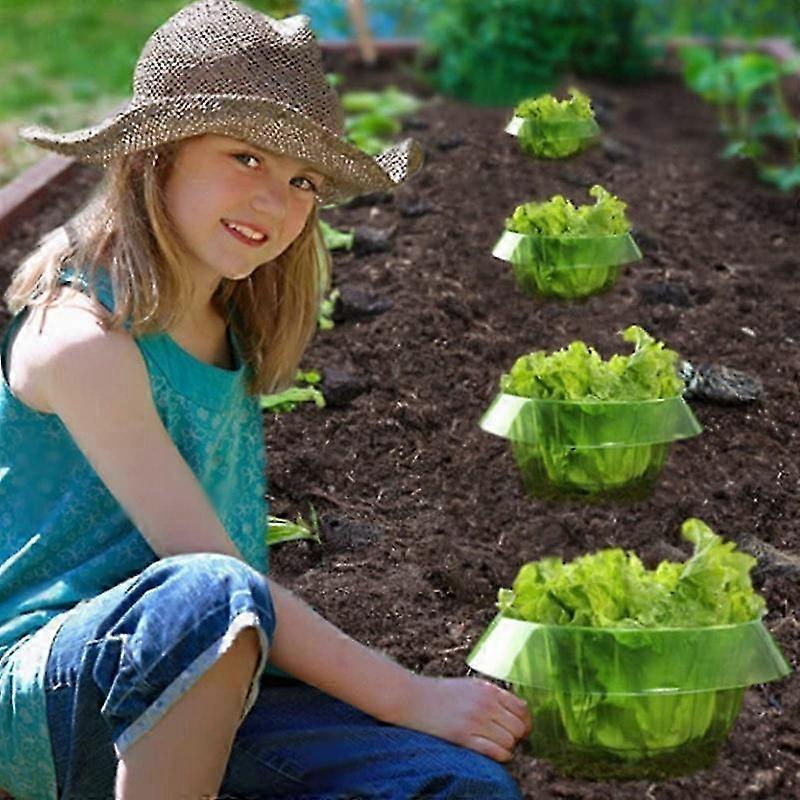 Plastic Slug & Snail Plant Protection Collars, Protects Plants From...