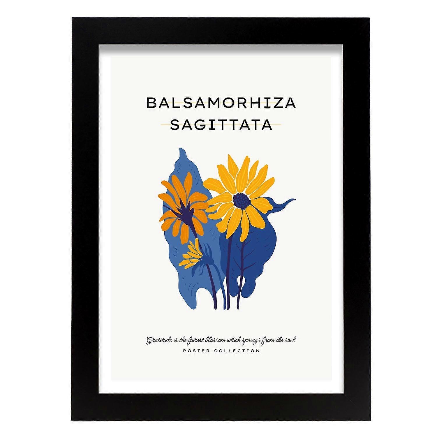 Balsamorhiza Sagittata Affiche