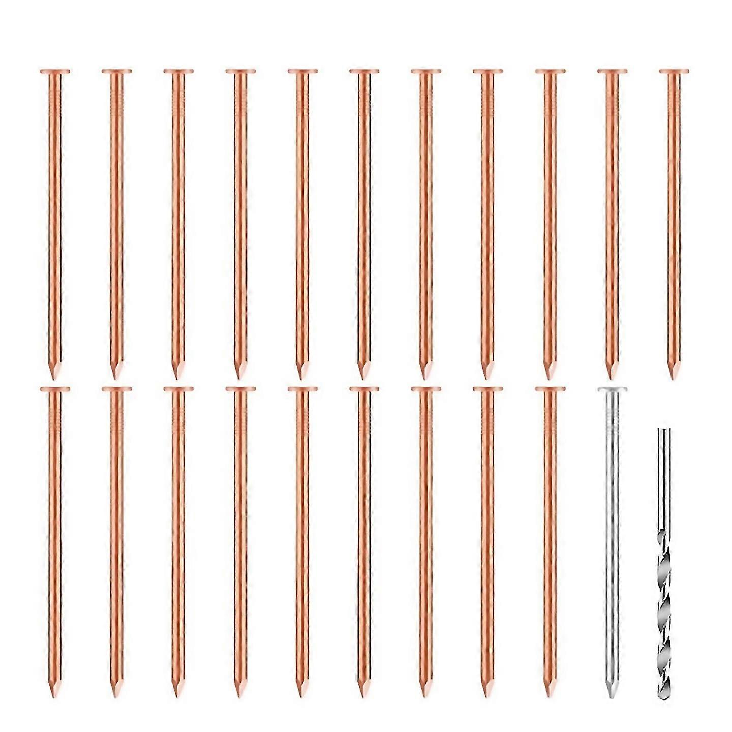 For 20 Pcs Copper Nails For Killing Trees Stumps 35