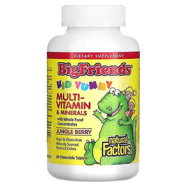 Natural Factors, Big Friends, Chewable Multi-Vitamin & Minerals, Jungle Berry, 60 Chewable Tablets