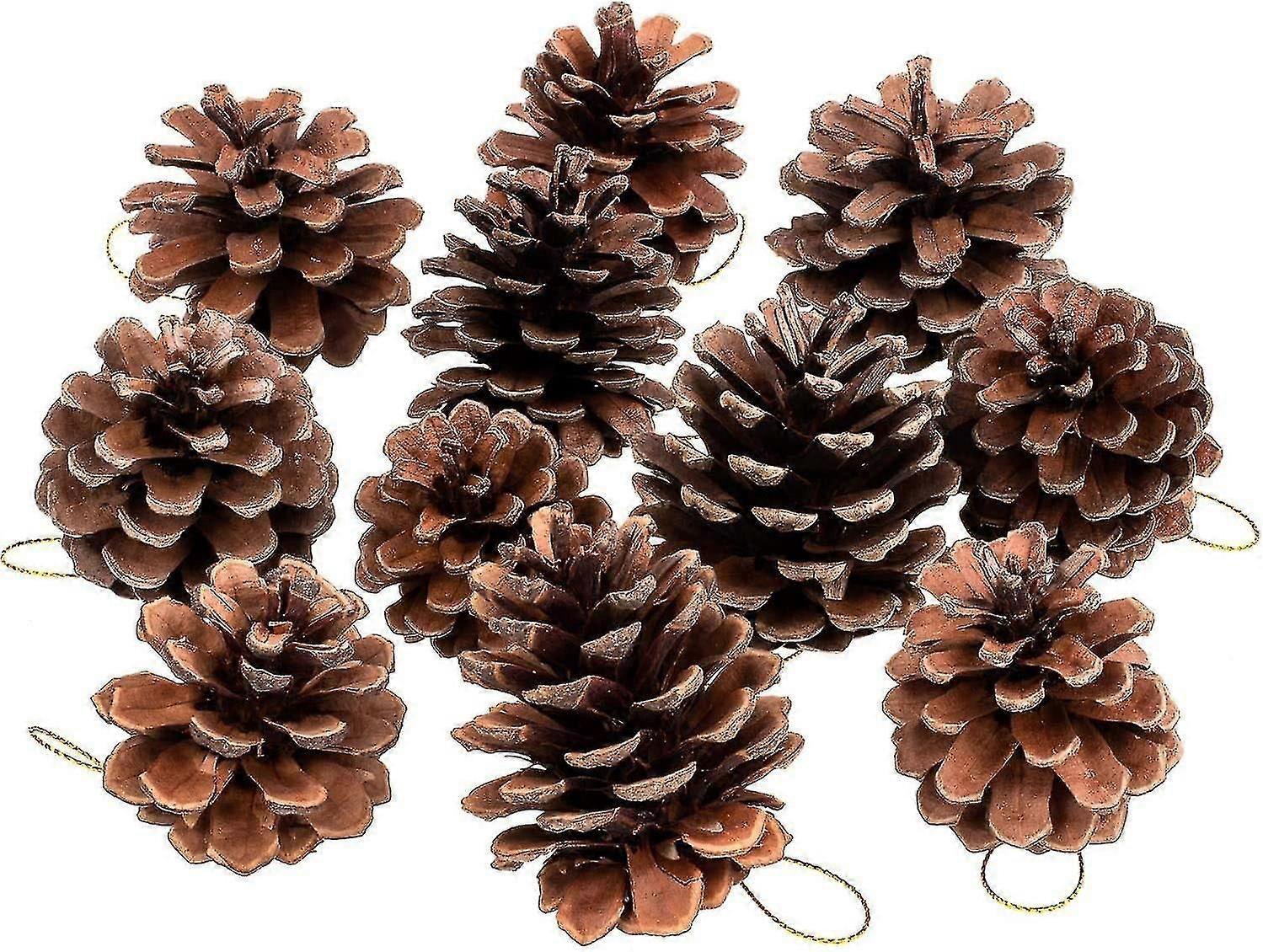 30 Pcs Christmas Natural Pine Cones  Rustic Pinecones Bulk Ornaments With String For Crafting For Home Accent Decor  Fall Thanksgiving Tree Decoration