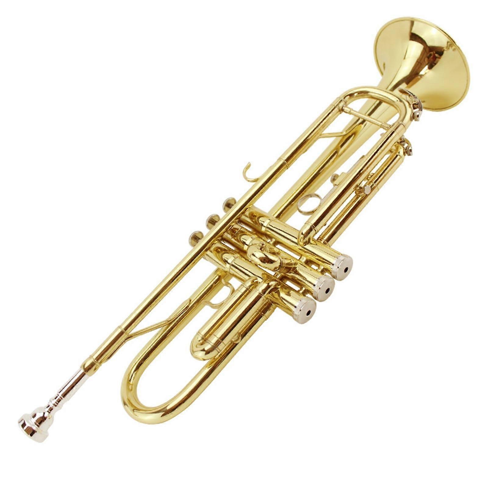 B Flat Trumpet for Beginners with Smooth Valve Action, Bright Tone, Durable Brass Construction