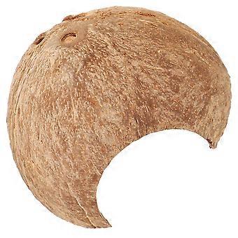 Coconuts Shell Hideout Reptile Aquarium Hideout Decorativo Reptile Hideout Reptile Shelter
