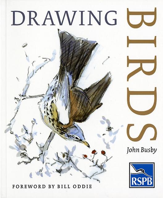 Drawing Birds by John Busby Paperback Book